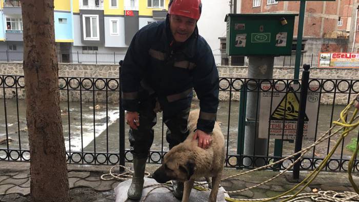 Mahsur kalan çoban köpeğini itfaiye ekipleri kurtardı