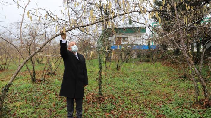 ‘’Don riskine karşı üreticiler sigorta yaptırmalı’’