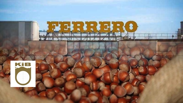 2025’te Fındık İhracatının Lideri Ferrero Oldu