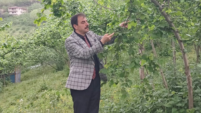 Akçaabat, Trabzon’un  Tarımsal Üretim Merkezi Haline Geliyor