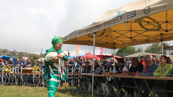 Çambaşı'nda renkli festival! 10 bin kişi horon oynadı