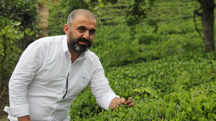 Çay Sektöründe Alarm: “Sanayici Zararına Satıyor, Paketçi Kazanıyor”