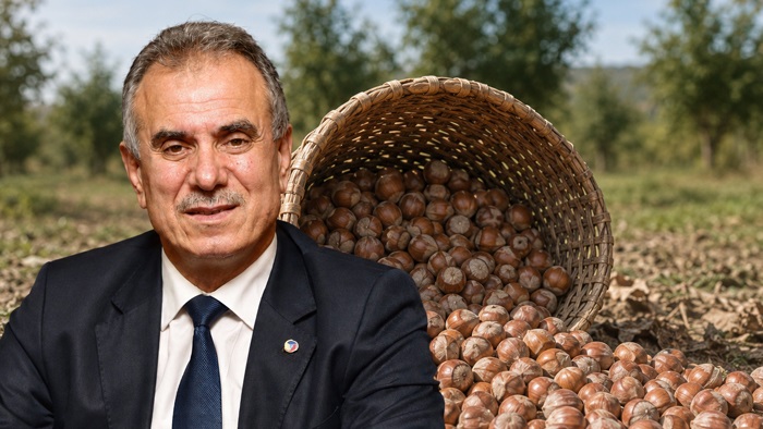  Fındık Artık Karadeniz’in Geçim Kaynağı Değil Mi?