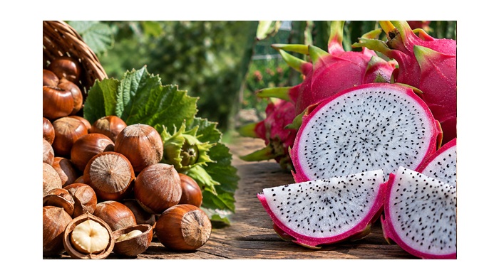 Fındık bahçesini söktü, servet kazanmaya başladı! Kilosu 250 TL