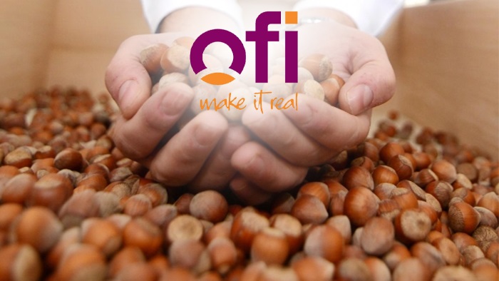 Fındık İhracatında Zirve OFİ Tarım’ın