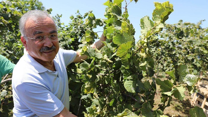 Fındık üreticisi bu projeyi sevdi