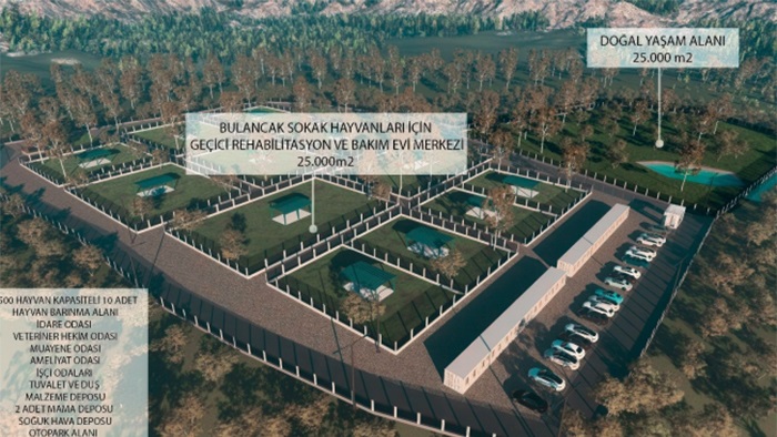 Giresun'da Sokak Hayvanlarına Yuva Olacak Dev Projede Sona Gelindi