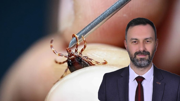 Keneyi Çıkardınız, Peki Sonra? 10 Gün Kuralını Unutmayın!