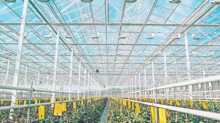 Modern serada hedef 2030’da 35 bin dekar