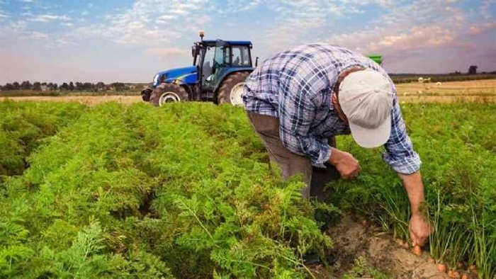 Ordu'da Kırsal Kalkınma Yatırımları; 2024 Yılında 181 Proje