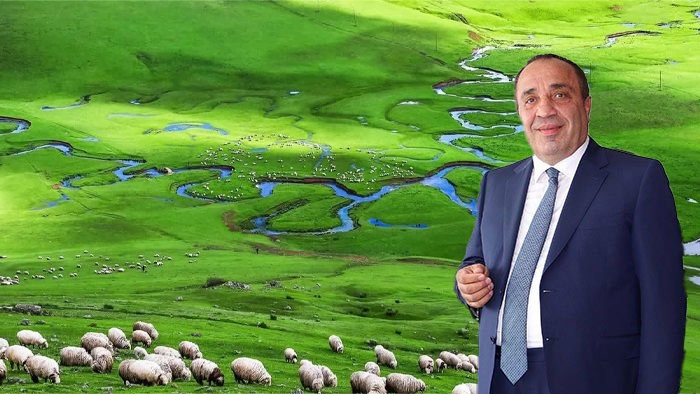 Perşembe Yaylası'na iş makineleri soktu