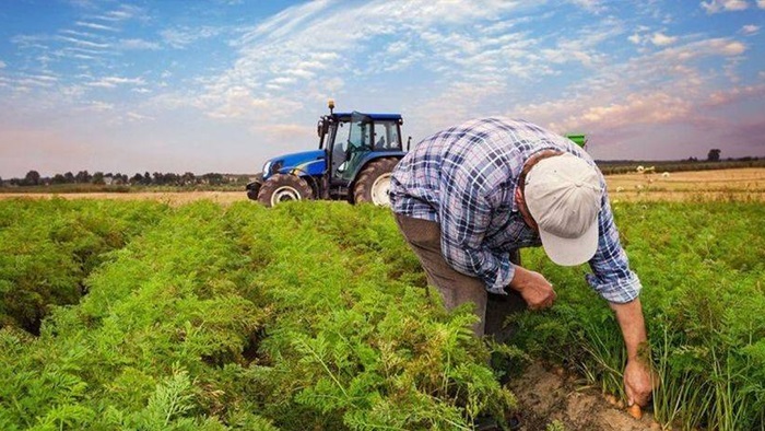 Resmi Gazete'de yayımlandı: Çiftçilere bu yıl ödenecek üretim destekleri belli oldu