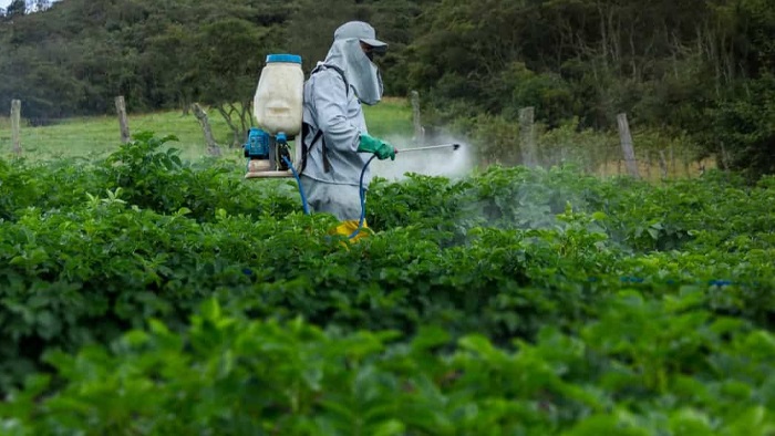 Taahhütname olmadan ilaç yok
