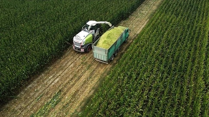 Tarım ÜFE’de güçlü yükseliş: Son 7 ayın en yüksek seviyesi