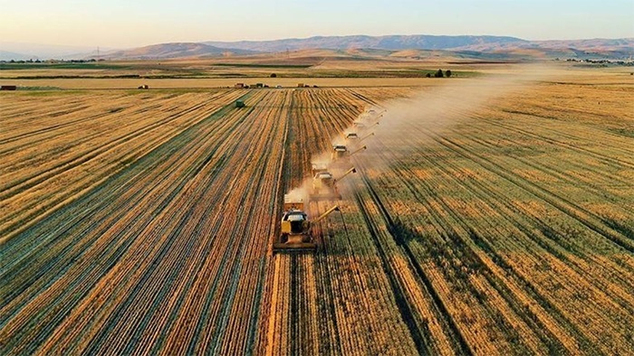 Tarım ÜFE ocakta arttı