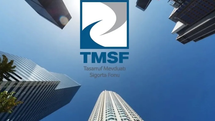 TMSF, Assan Group'u satışa çıkardı