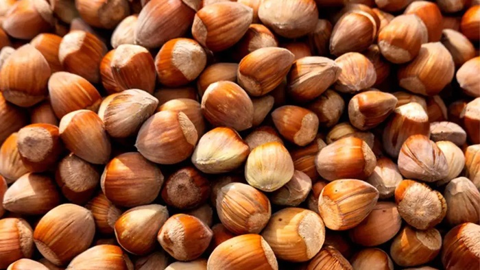 Trabzon’da Fındıkta Düşüş Somonla Telafi Ediliyor