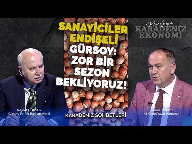 Sanayiciler Endişeli: Gürsoy, 