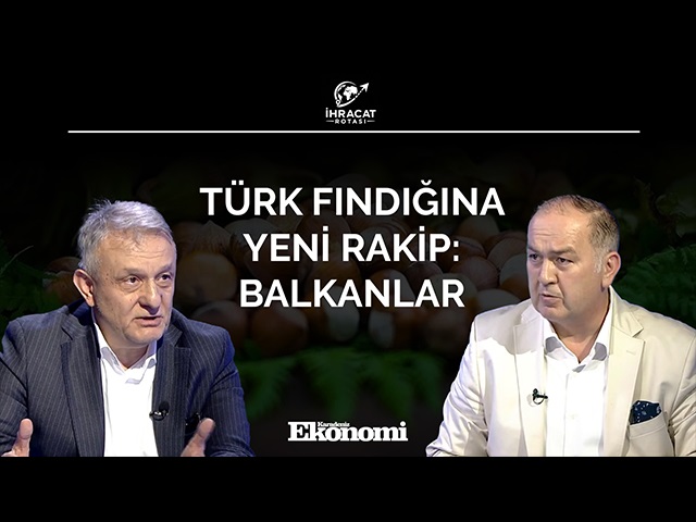 Türk fındığına yeni rakip: Balkanlar