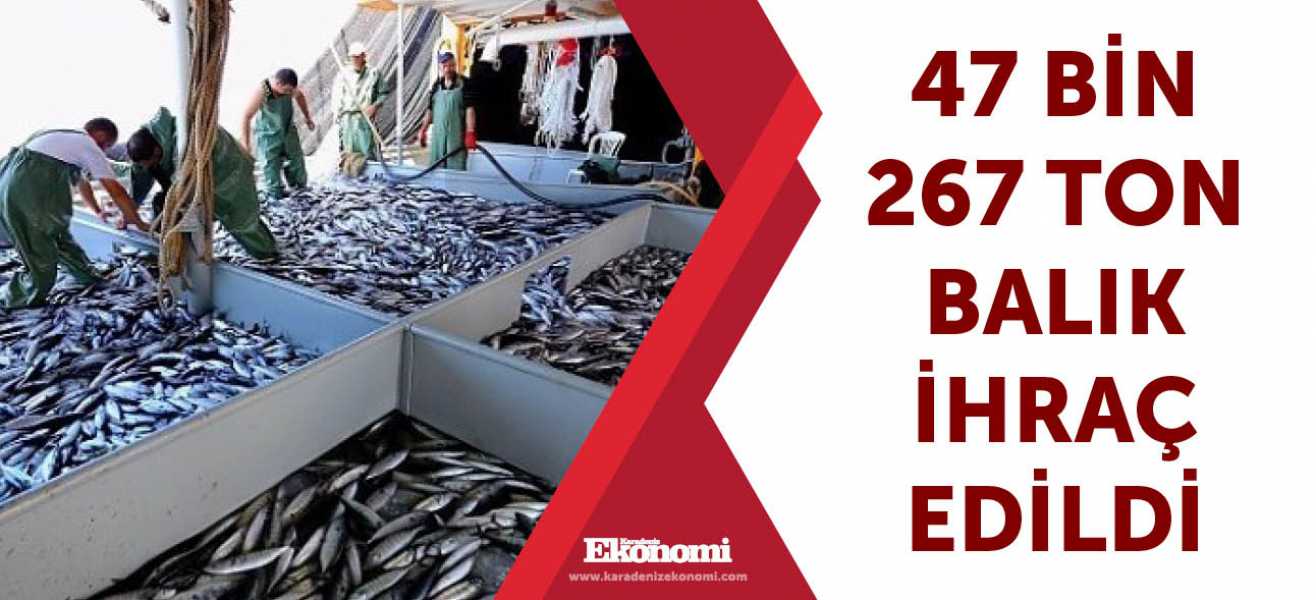 47 bin 267 ton balık ihraç edildi