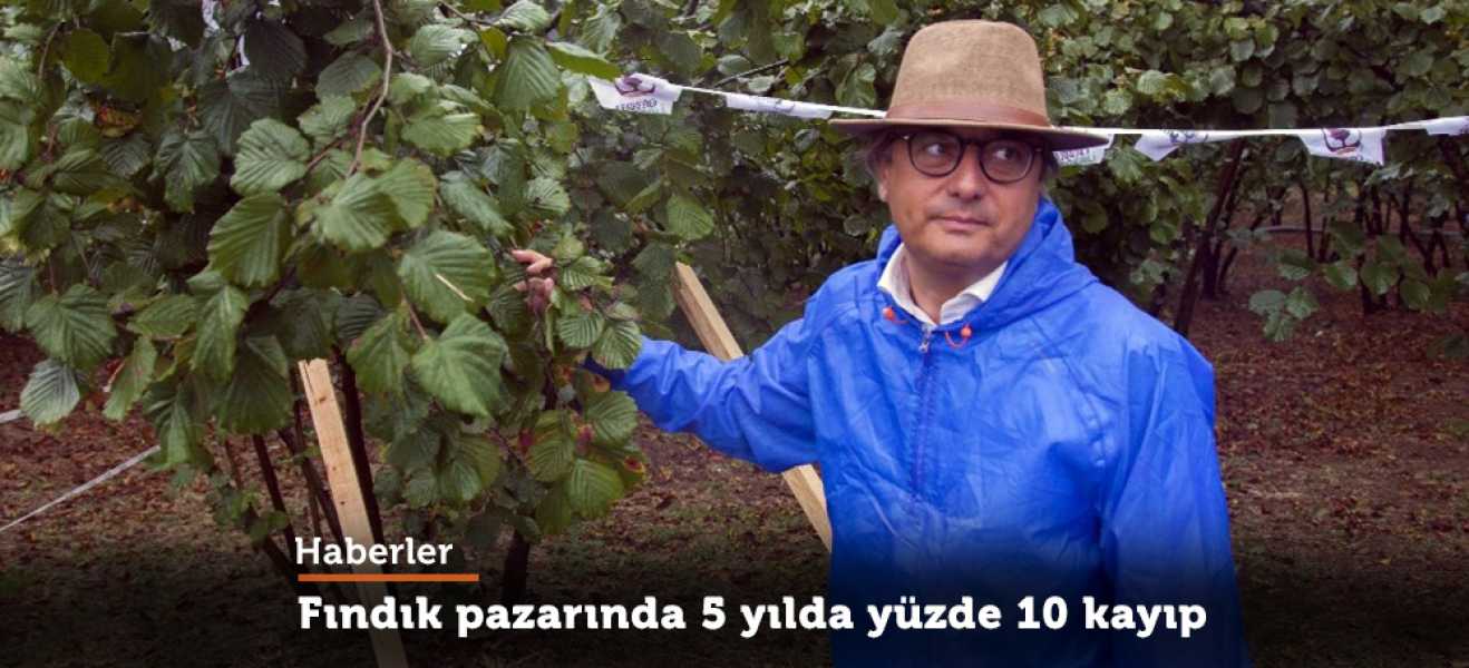 Fındık pazarında 5 yılda yüzde 10 kayıp