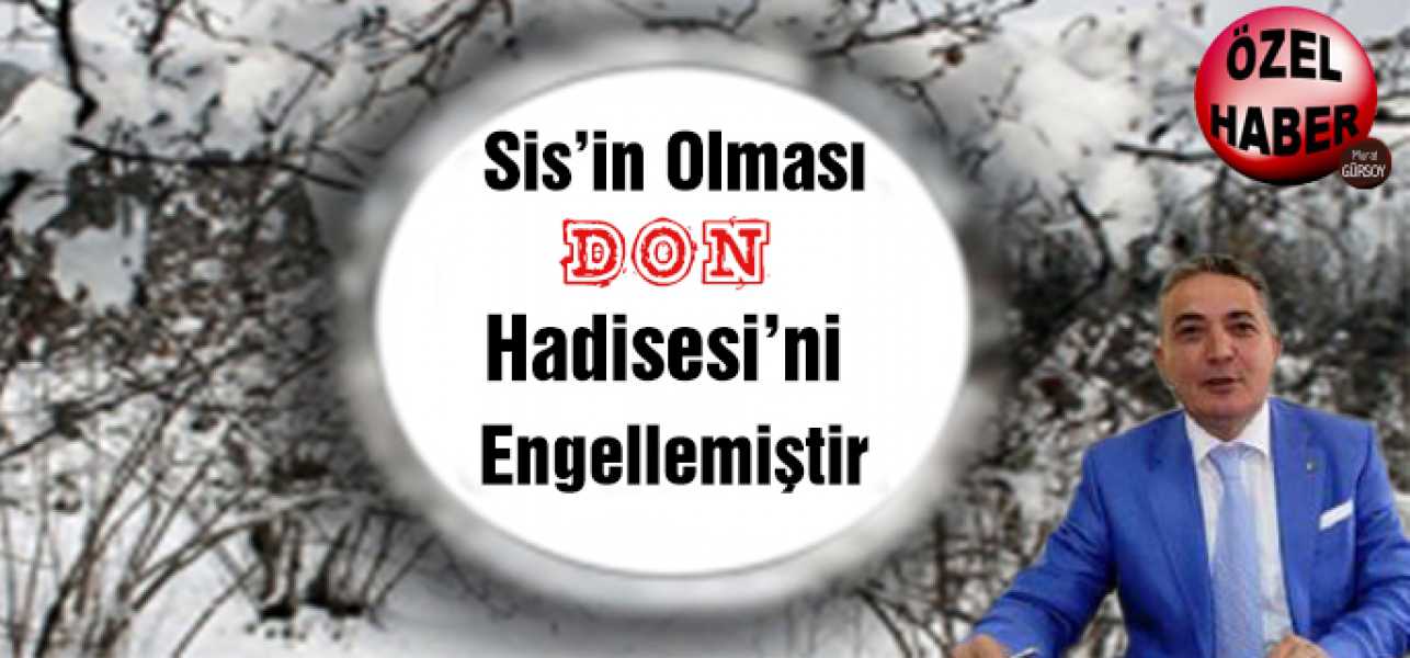 Sis'in Olması Don Hadisesini Engellemiştir