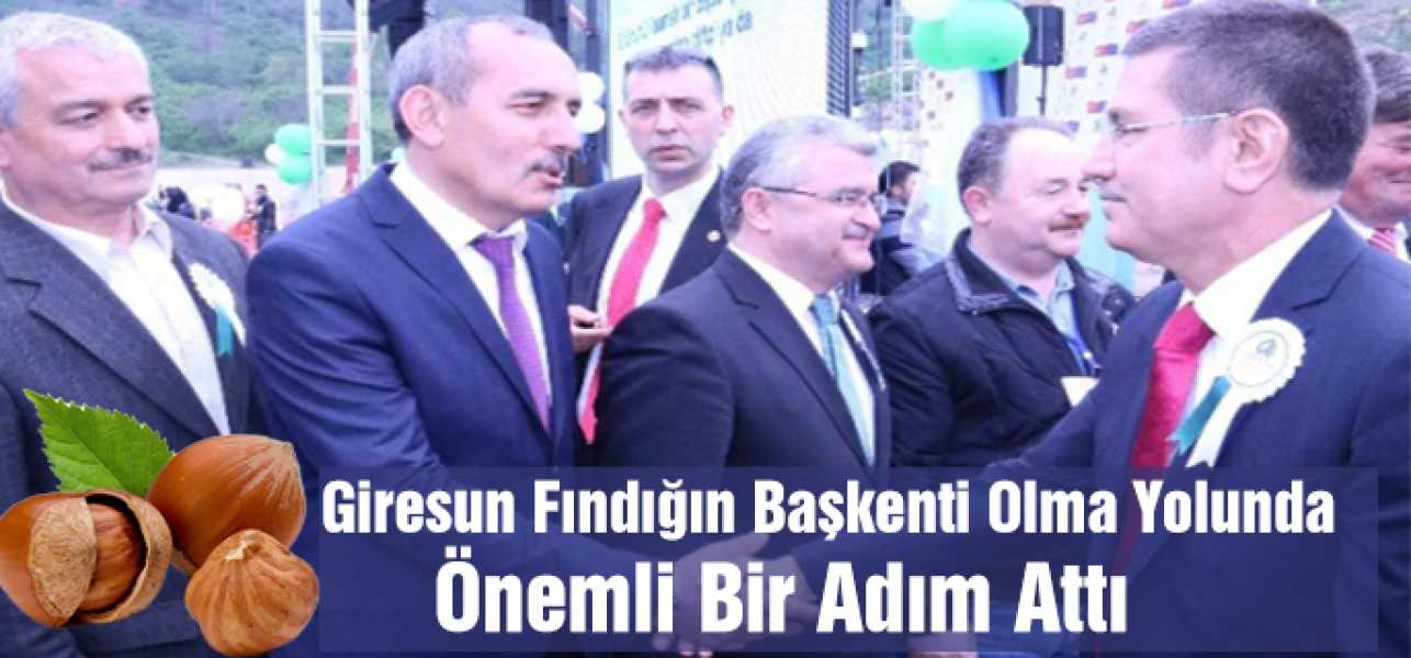 Giresun Fındığın Başkenti Olma Yolunda Önemli Bir Adım Attı