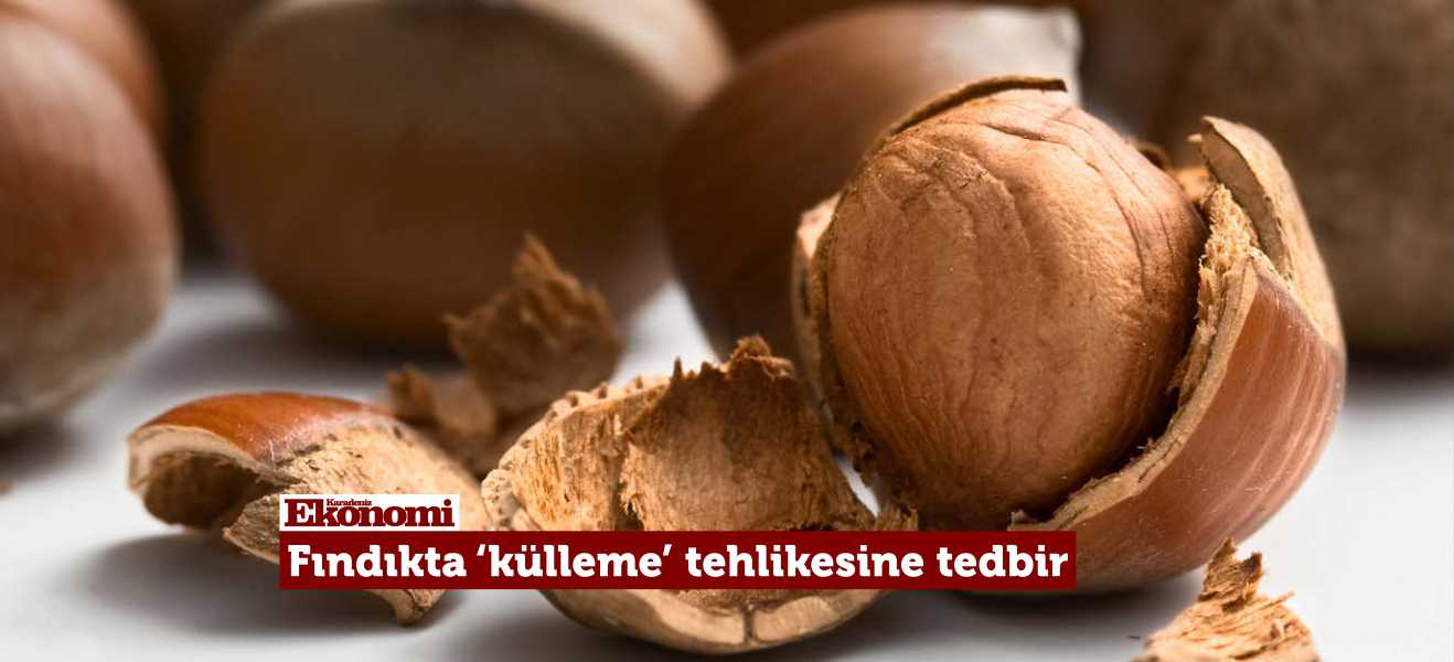 Fındıkta Külleme tehlikesine tedbir