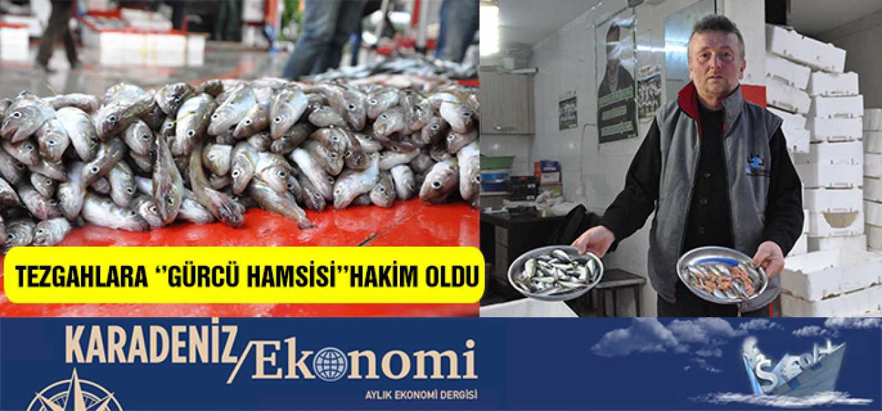 YERLİ HAMSİ BİTTİ, GÜRCÜ HAMSİSİ SATILIYOR