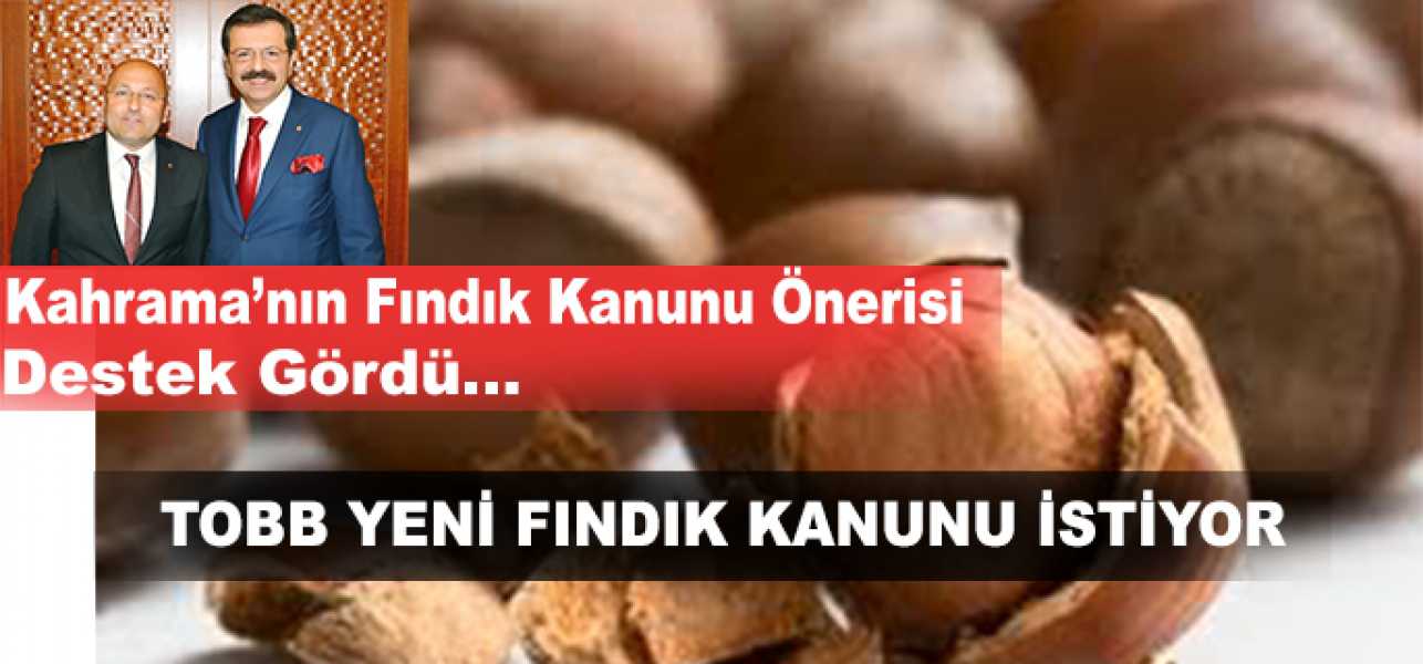 Kahraman'ın Fındık Kanunu Önerisi Destek Gördü