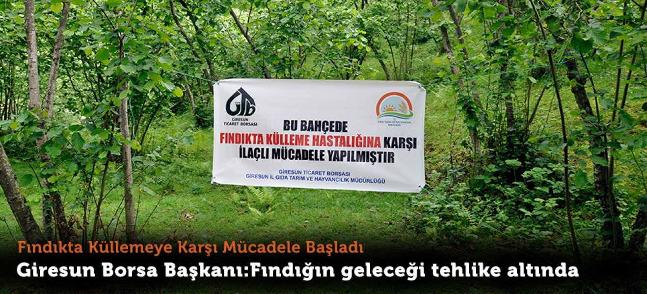 Fındıkta Küllemeye Karşı Mücadele Başladı