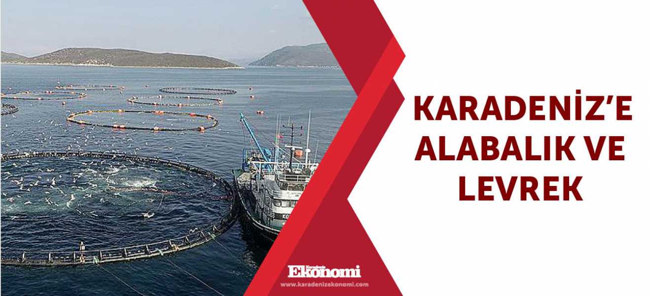 ​Karadenize alabalık ve levrek