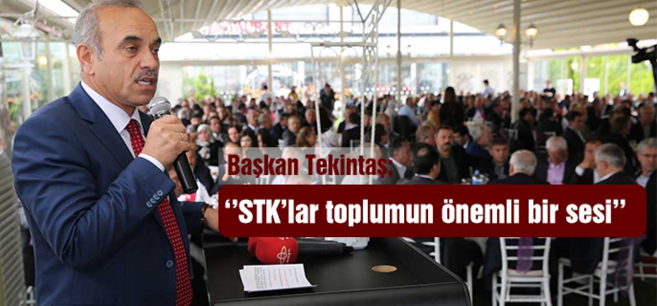 Başkan Tekintaş''STK'lar Toplumun Önemli Bir Sesi''