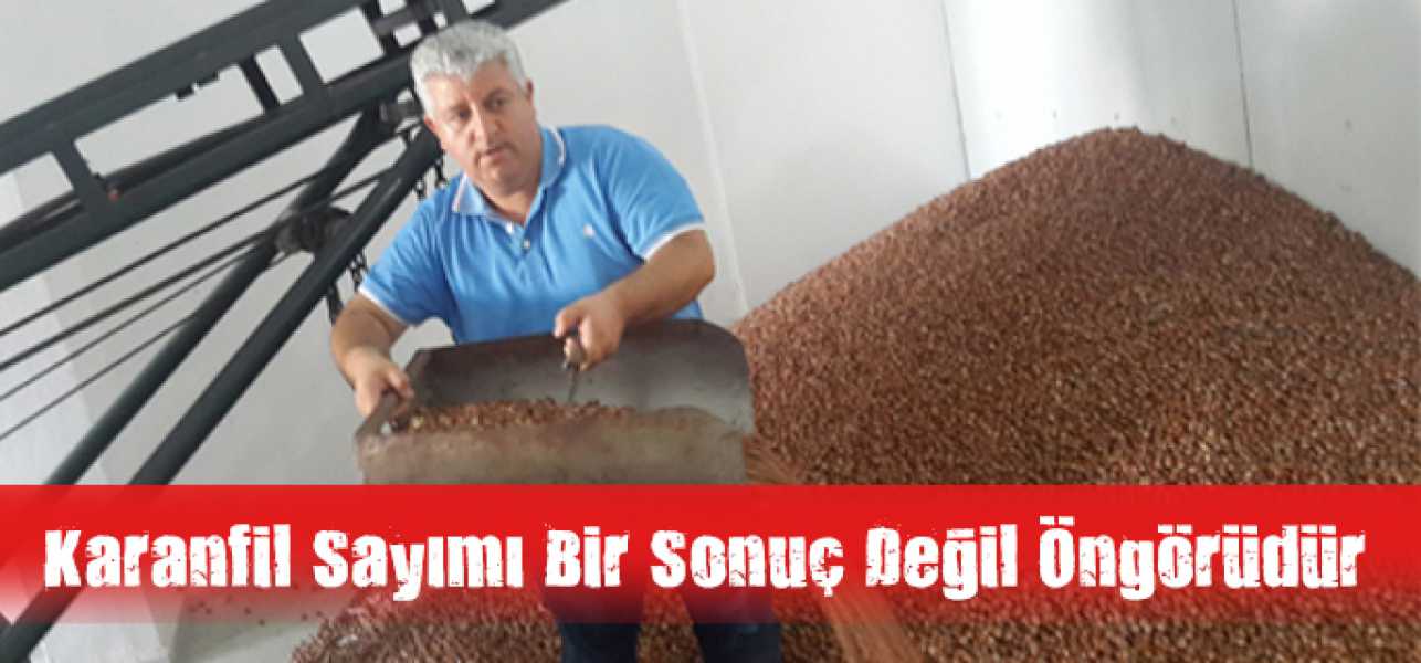 Karanfil Sayımı Bir Sonuç Değil,Öngörüdür