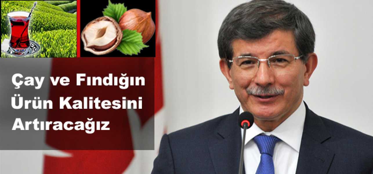 'Ekonomik ömrünü tamamlamış çay ve fındık bahçelerinin süratle yenilenebilmesi için model etüdü geli