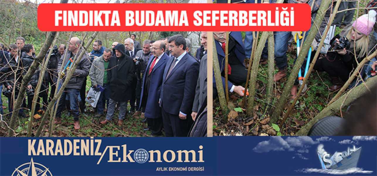 Fındıkta Budama Seferberliği 