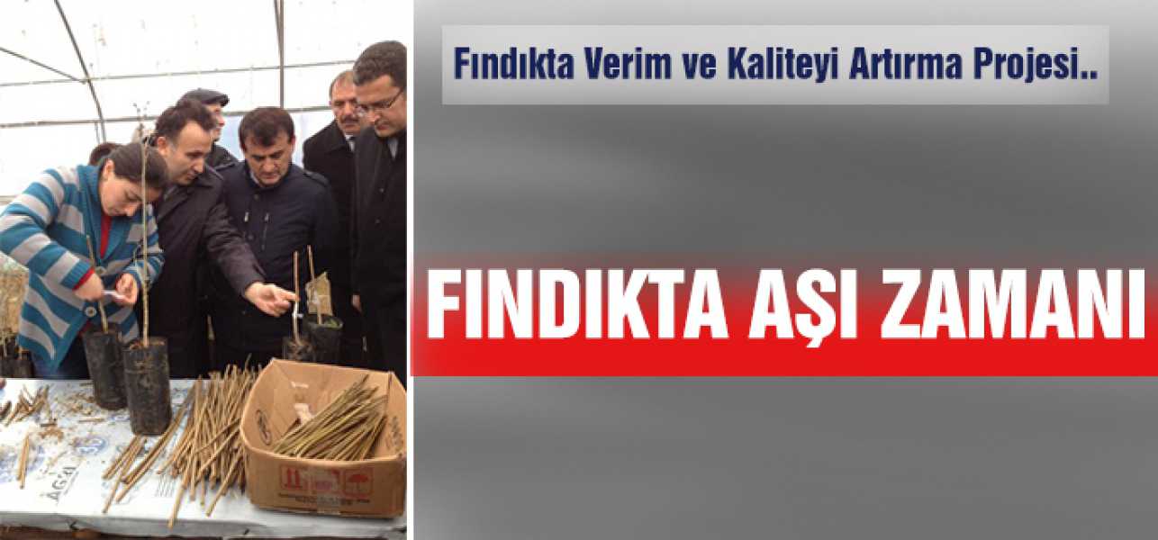 Fındıkta Aşı Yöntimi ile Üretimin Artırılması Hedefleniyor