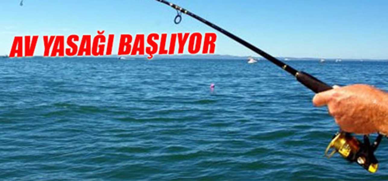 AV YASAĞI BAŞLIYOR