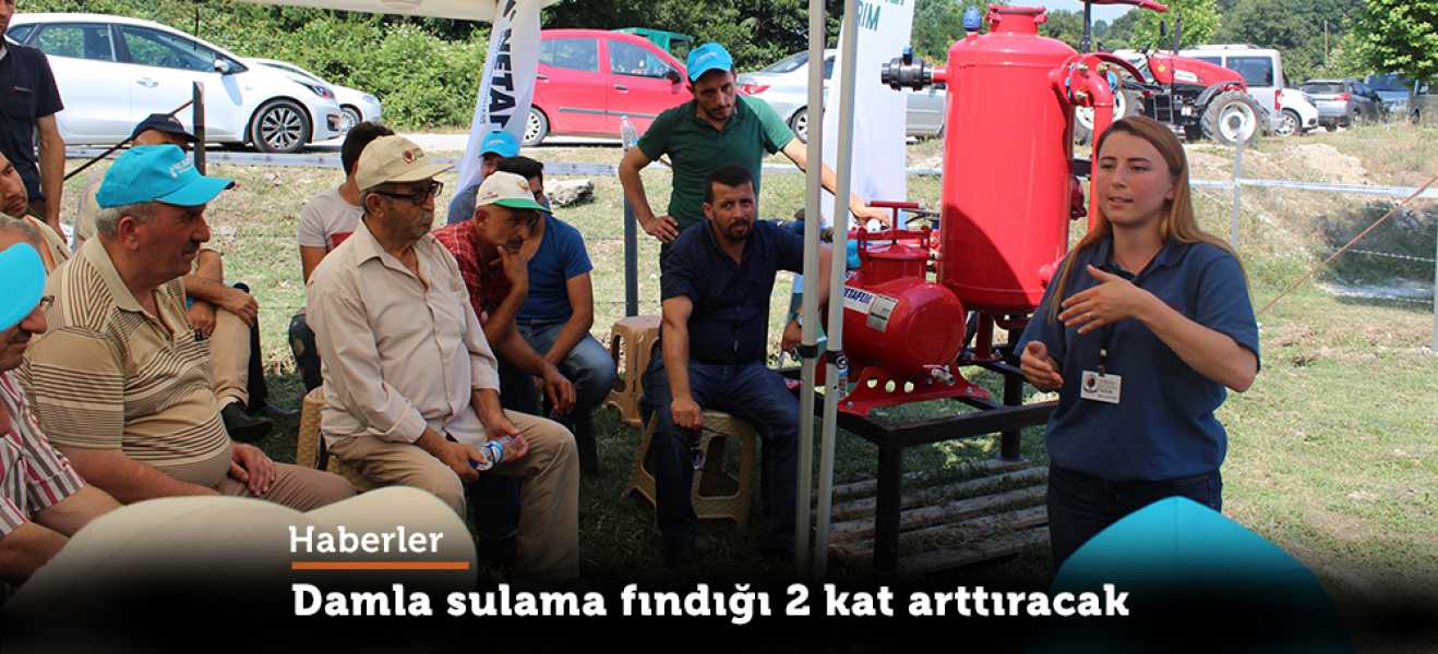 Damla sulama fındığı 2 kat arttıracak