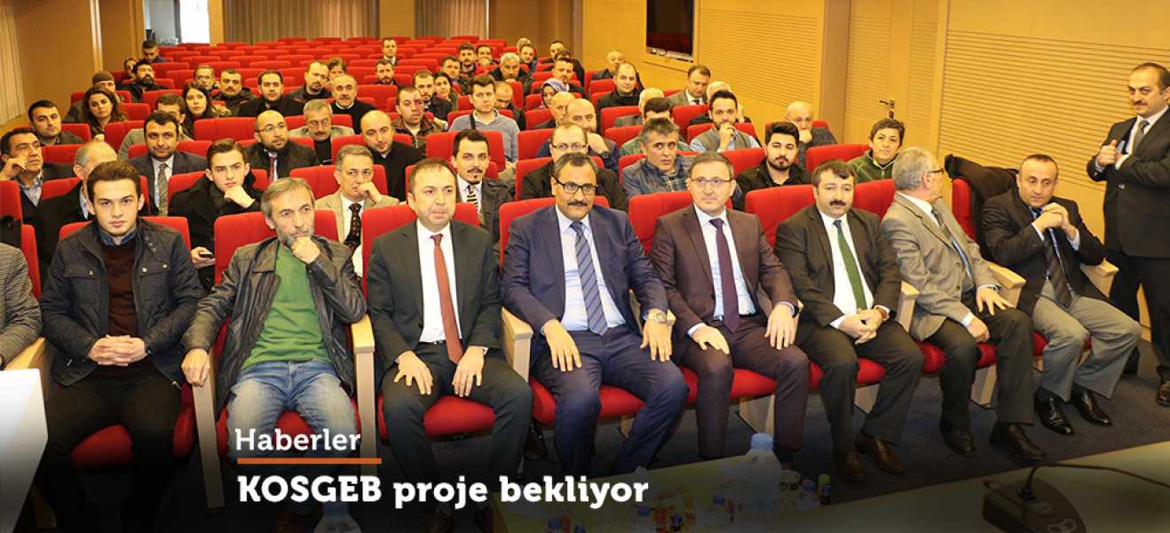 KOSGEB, YERLİ VE MİLLİ ÜRÜN ÜRETİMİ İÇİN PROJE BEKLİYOR