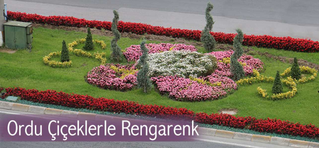 Ordu Çiçeklerle Rengarenk