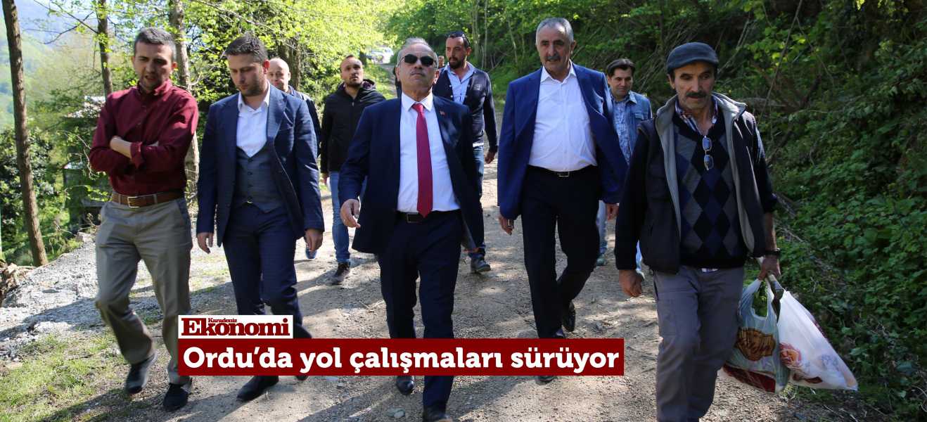 Orduda yol çalışmaları sürüyor