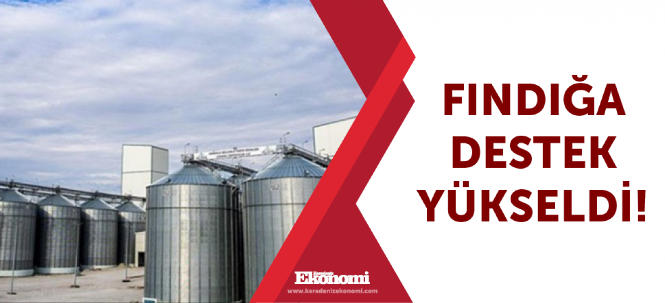 Fındığa destek yükseldi!