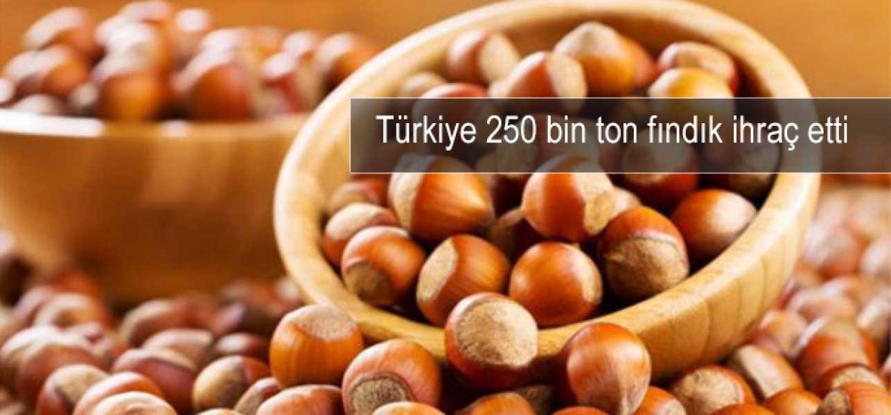 Türkiye 250 bin ton fındık ihraç etti