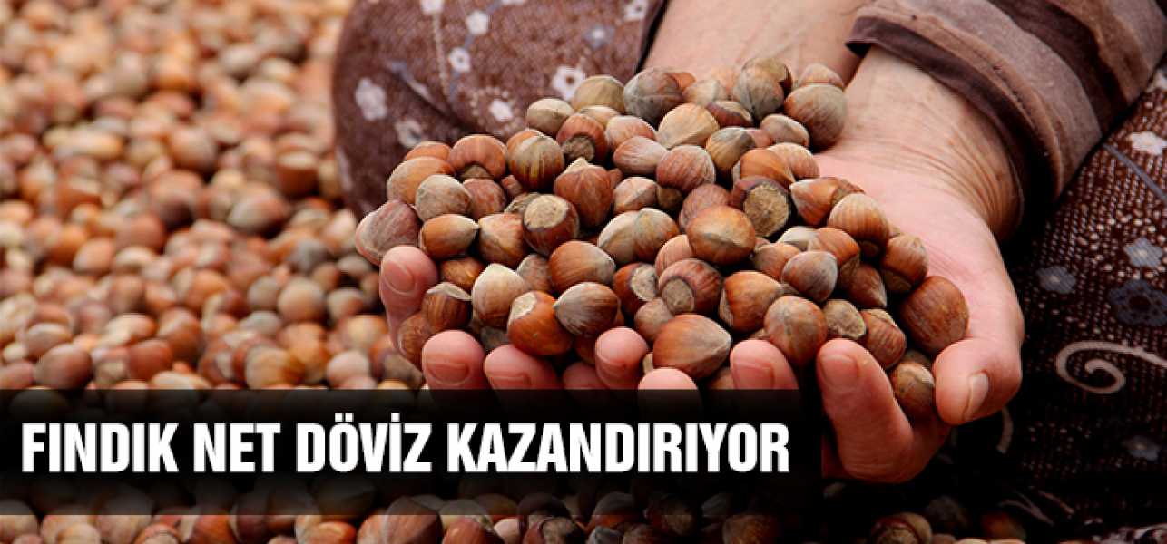 Fındık net döviz kazandırıyor.