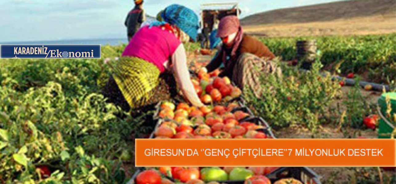 Giresun'da 231 genç çiftçi destek almaya hak kazandı