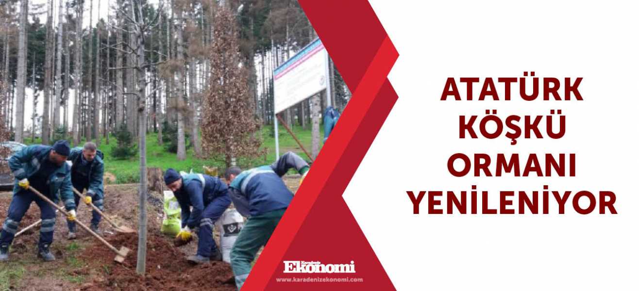 Atatürk Köşkü Ormanı yenileniyor