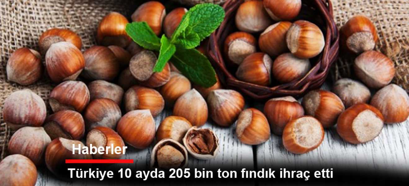 Türkiye 10 ayda 205 bin ton fındık ihraç etti