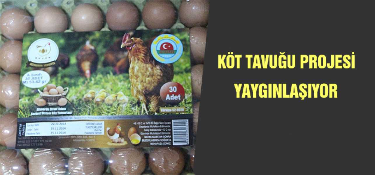 Köy Tavuğu Projesi Yaygınlaşıyor