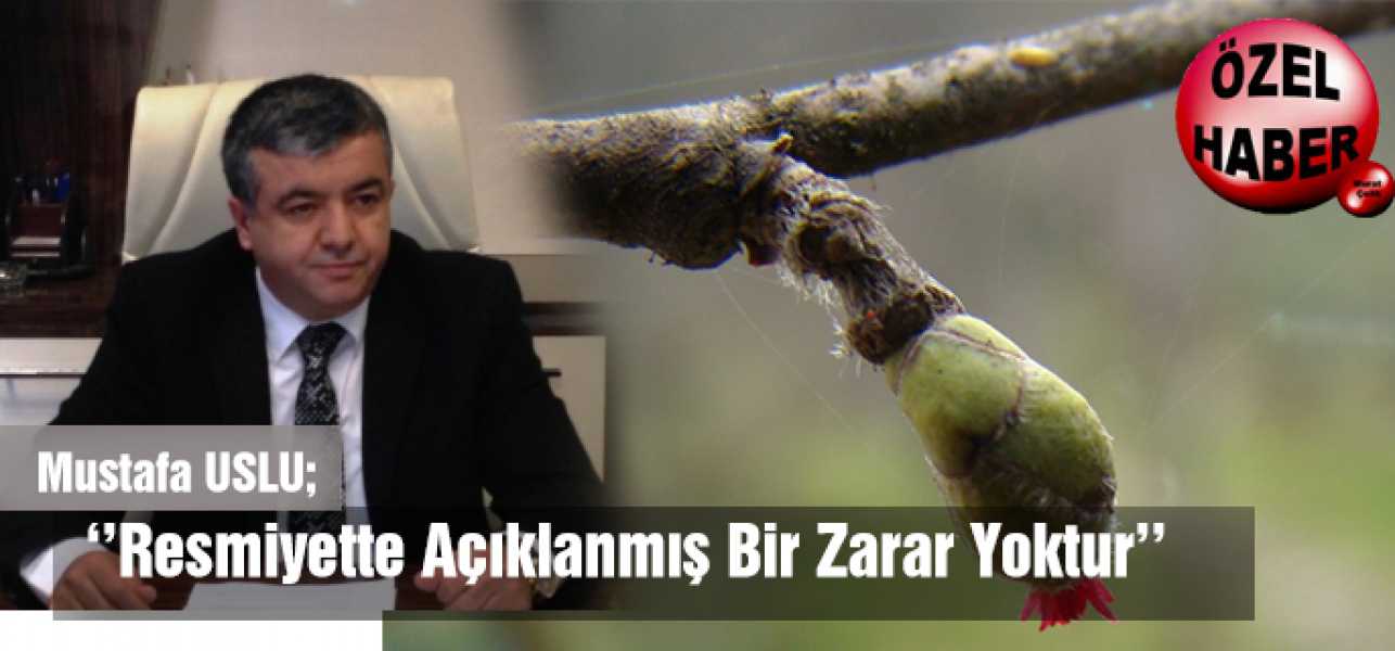 Resmiyette Açıklanmış Bir Zarar Yoktur